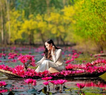 Tours and Sightseeing